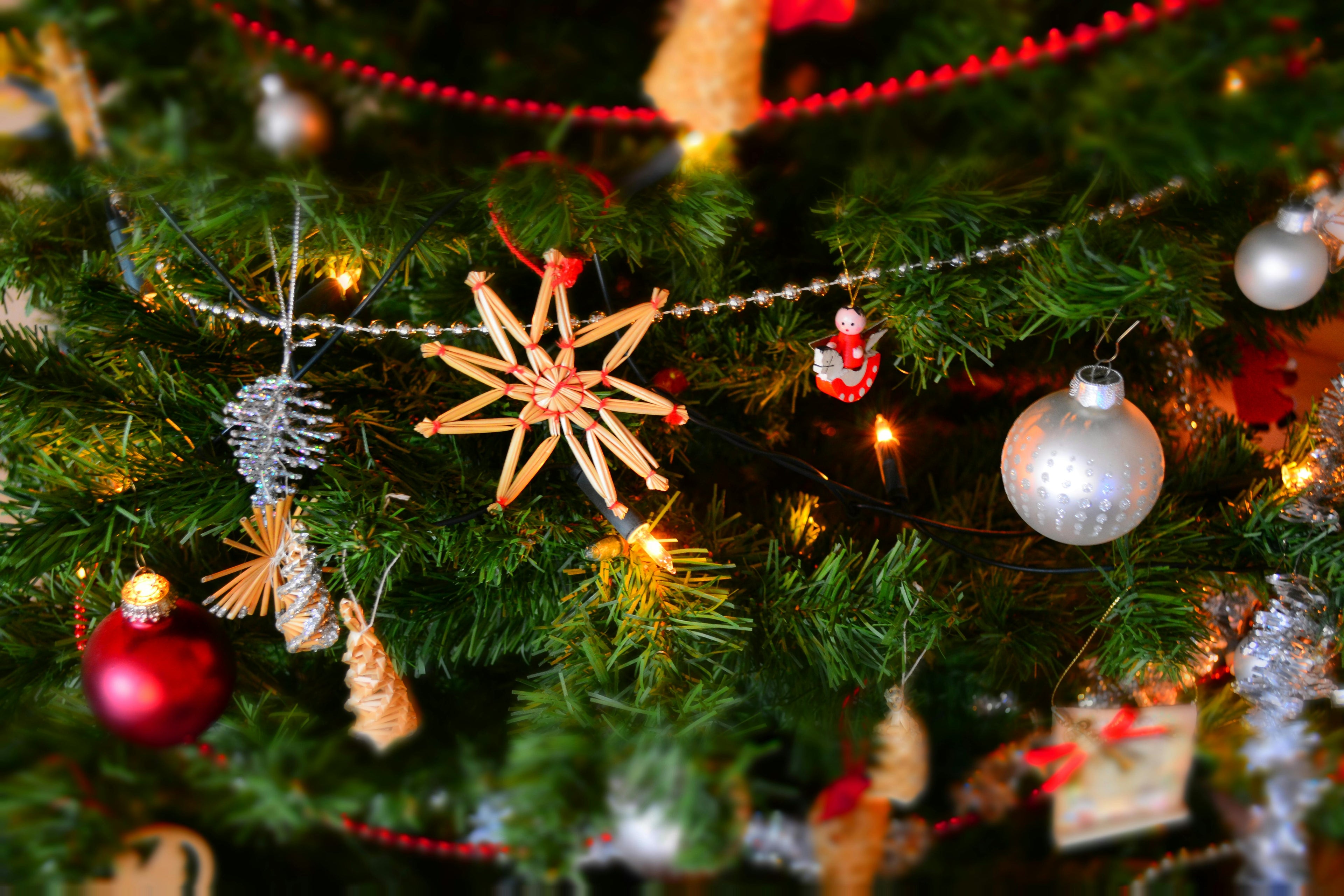 Seasonal& Holiday