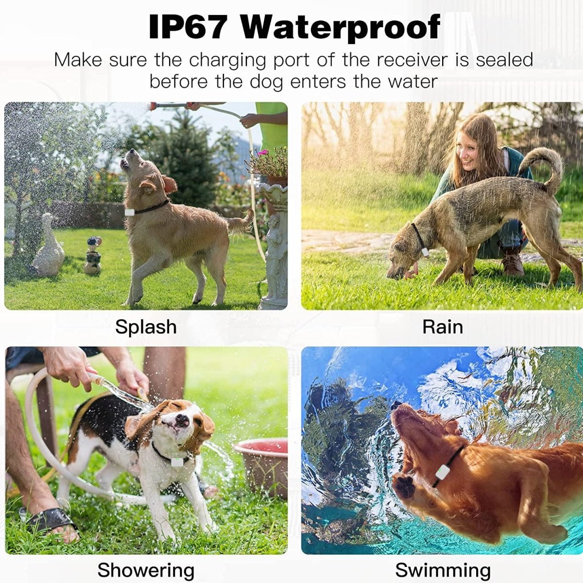 VINSIC Dog Training Shock Collar for 2 Dogs, 1000 ft Remote Anti Bark Dog Training Collar, Waterproof Dog Shock Collar with LCD Display, Dog Bark Collar for Small Medium Large Dogs, White