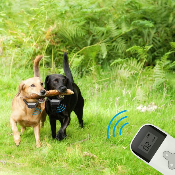 Dog Training Collar for 2 Dogs,Rechargeable Dog Shock Collar w/3 Training Modes, Beep, Vibration and Shock, Waterproof Pet Training Collar, Up to 1000Ft Remote Range, Dog Training Set with Remote