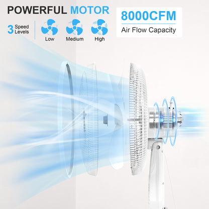 16 Inch Pedestal Standing Fan, High Velocity, Heavy Duty Metal For Industrial, Commercial, Residential, Greenhouse Use, Black