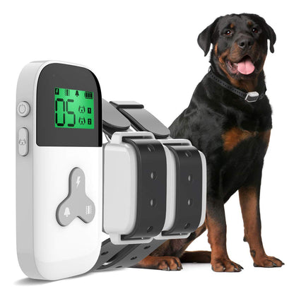 Dog Training Collar
