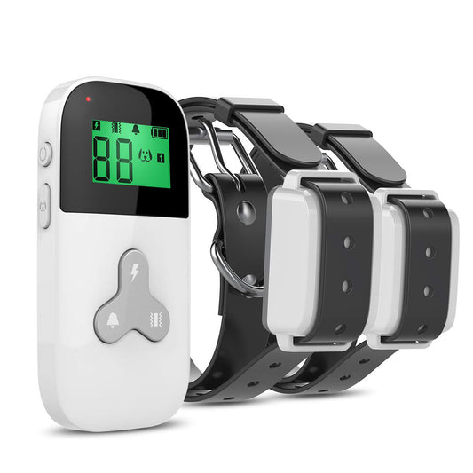 Dog Training Collar