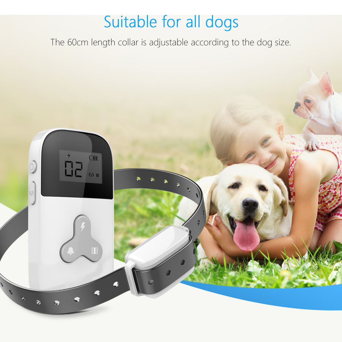Dog Training Collar