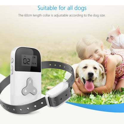 Dog Training Collar