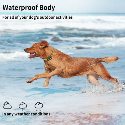 Mrdoggy Dog Bark Collars,3th Generation Automatic Anti Barking Device, Beep Vibration and No Harm Shock for Small Medium Large Dogs