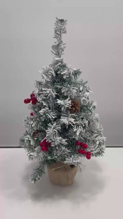Melliful 24 in Pre-Lit Tabletop Christmas Tree, Mini Small Christmas Tree with Snow Flocked Branches for Indoor Xmas Holiday Decorations, White