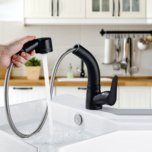 Beenate Kitchen Faucet