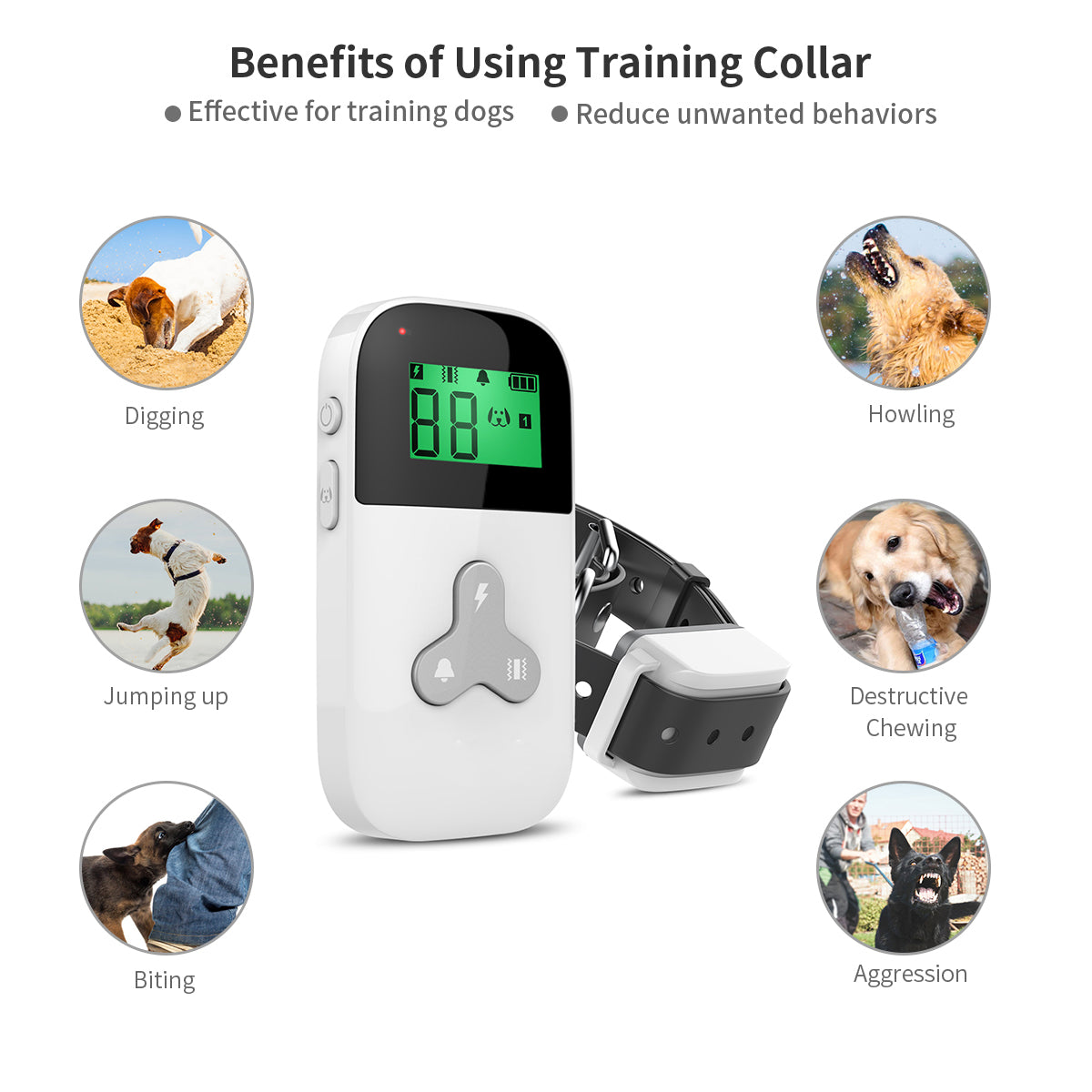 Dog Training Collar