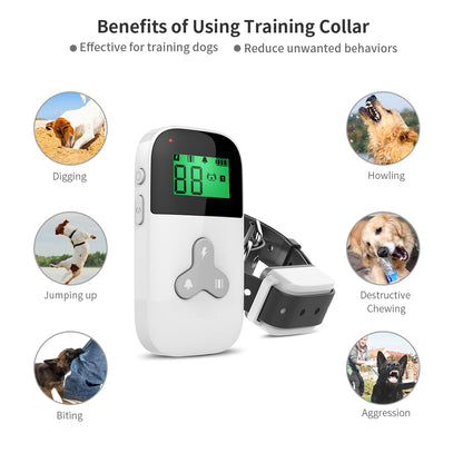 Dog Training Collar