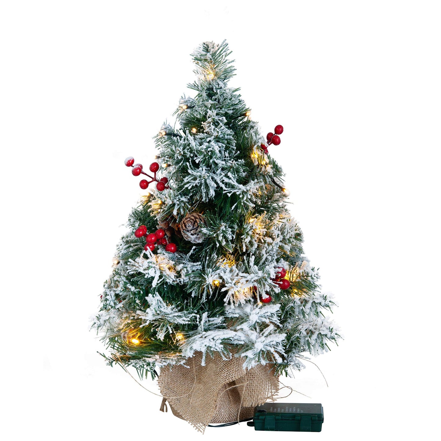 iFanze 24-inch Tabletop Christmas Tree, Lighted Artificial Snowy Xmas Tree for Indoor Outdoor Christmas Holiday Decor