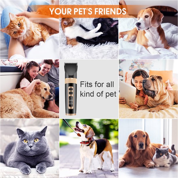 Mrdoggy Clearance!Dog Clippers Best Choice For Pets, Dog Clippers For Thick Fur Has Safe And Sharp Blade, Electric Dog Clippers Heavy Duty With Low Vibration, Wahl Dog Groom Clippers For All Pets, J31