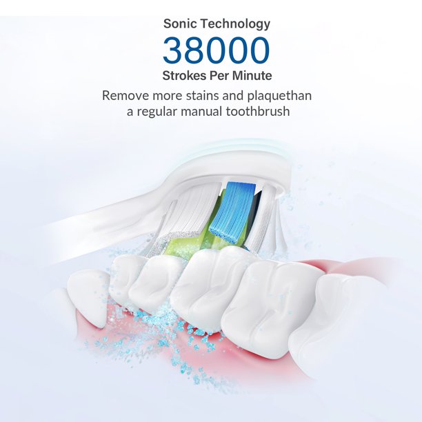 Electric Toothbrush, Ifanze Rechargeable Sonic Whitening Toothbrush With 4 Dupont Brush Heads