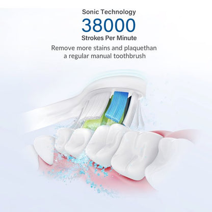 Electric Toothbrush, Ifanze Rechargeable Sonic Whitening Toothbrush With 4 Dupont Brush Heads
