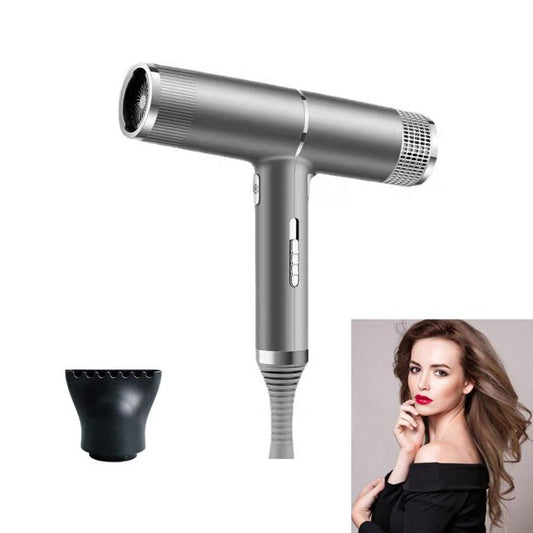 Revair Hair Dryer,Negative Ionic Blow Dryer Professional Salon Hair dryer Household Strong Fast Drying Wind Gale Speed Portable Blow Dryer Anion