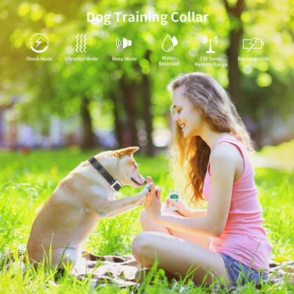 Dog Training Collar,Vinsic Waterproof Receiver 300 Yards Remote Control With Cartoon Design Back Splint and Flashlight Dog Shock Collar With LCD Display 1-5 Level Shock Vibration