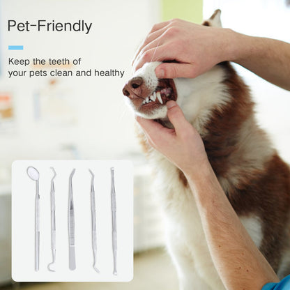 5 Pcs Dental Hygiene Kit Dental Cleaning Tools,Dentist Pick Tools Dentist Prepared Tools Teeth Gum Cleaning Tool for Home Use