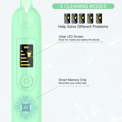 Electric Dental Calculus Remover, Plaque Remover for Teeth Dental Tools, Electric Tartar Remover Tooth Cleaner with 2 Cleaning Heads and 2 Brush Heads (Green)